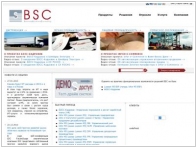 BSC (Business Solutions Consulting)