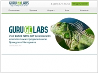 GuruLabs